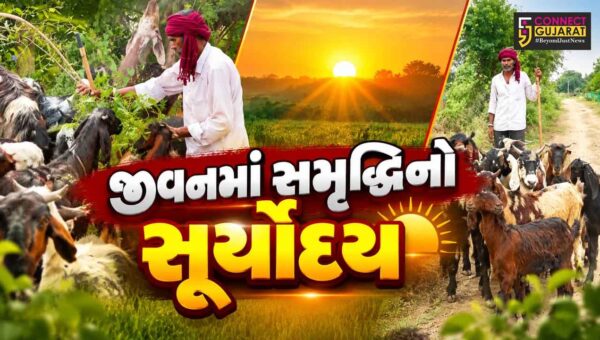 જામનગર : પશુપાલક માટે બકરીપાલન બન્યું આજીવિકાનો માર્ગ, સરકારની સબસીડી ગ્રામીણ પરિવારો માટે આત્મનિર્ભરતાનું બળ બની