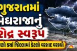 ગુજરાતમાં મેઘરાજાનું રૌદ્ર સ્વરૂપ, 12 જિલ્લામાં રેડ એલર્ટ!