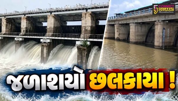 ભાવનગર : સિંચાઈ વિભાગના 16 માંથી 8 ડેમમાં નવા નીરની આવક શરૂ! સિંચાઈના પાણીની ચિંતા દૂર