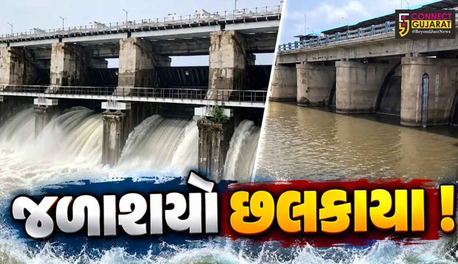 ભાવનગર : સિંચાઈ વિભાગના 16 માંથી 8 ડેમમાં નવા નીરની આવક શરૂ! સિંચાઈના પાણીની ચિંતા દૂર