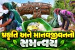 ગાંધીનગર :  કચરામાંથી કમાણી, નળસરોવરમાં પર્યાવરણ રક્ષણ,JICA અને રાજ્ય સરકારનો અનોખો પ્રયાસ, સ્થાનિકોને મળી રોજગારી