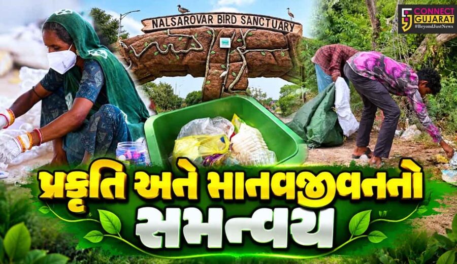 ગાંધીનગર :  કચરામાંથી કમાણી, નળસરોવરમાં પર્યાવરણ રક્ષણ,JICA અને રાજ્ય સરકારનો અનોખો પ્રયાસ, સ્થાનિકોને મળી રોજગારી