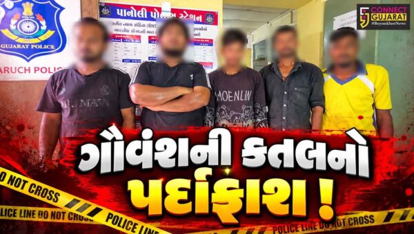 અંકલેશ્વર: પાનોલી પોલીસે પાનોલી ગામમાંથી 510 કિલો ગૌ માંસ સાથે 5 ઇસમોની કરી ધરપકડ