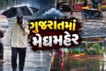 ગુજરાત : વલસાડ, ભાવનગર અને અરવલ્લીમાં સાર્વત્રિક વરસાદ, નદી-નાળા છલકાયા,ખેડૂતોમાં આનંદ