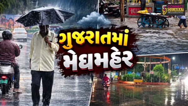 ગુજરાત : વલસાડ, ભાવનગર અને અરવલ્લીમાં સાર્વત્રિક વરસાદ, નદી-નાળા છલકાયા,ખેડૂતોમાં આનંદ