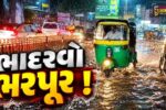 ભરૂચ: ભાદરવા માસના પ્રારંભે જ મુશળધાર વરસાદ, સાર્વત્રિક વરસાદથી ખેતીના પાકને મળ્યું જીવનદાન