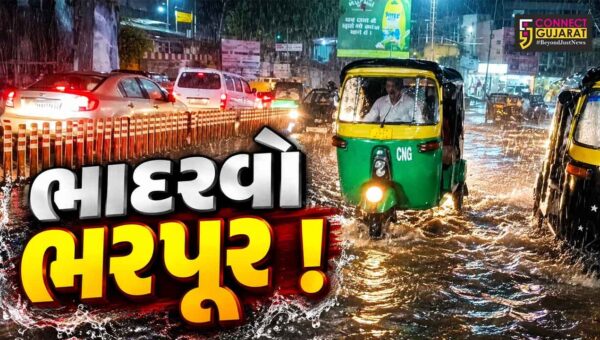 ભરૂચ: ભાદરવા માસના પ્રારંભે જ મુશળધાર વરસાદ, સાર્વત્રિક વરસાદથી ખેતીના પાકને મળ્યું જીવનદાન