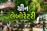 ભરૂચ :  વાલિયાની શ્રી સરદારનગર પ્રાથમિક શાળા 1000 થી વધુ વૃક્ષો અને છોડ સાથે જીવંત ‘ગ્રીન લેબોરેટરી’ બની, સરકારી શાળા સૌ માટે પ્રેરણારૂપ