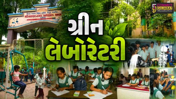 ભરૂચ :  વાલિયાની શ્રી સરદારનગર પ્રાથમિક શાળા 1000 થી વધુ વૃક્ષો અને છોડ સાથે જીવંત ‘ગ્રીન લેબોરેટરી’ બની, સરકારી શાળા સૌ માટે પ્રેરણારૂપ