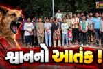 ભરૂચ: લિંકરોડ પર આવેલ મયુર પાર્ક સોસાયટીમાં શ્વાનોના આતંકનો રહીશોનો આક્ષેપ, પોલીસને કરવામાં આવી રજુઆત