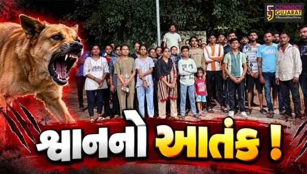 ભરૂચ: લિંકરોડ પર આવેલ મયુર પાર્ક સોસાયટીમાં શ્વાનોના આતંકનો રહીશોનો આક્ષેપ, પોલીસને કરવામાં આવી રજુઆત