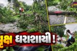 ભરૂચ: હાંસોટના સાહોલ ઇલાવ રોડ પર વૃક્ષ ધરાશાયી, વીજ પોલને નુકસાન-માર્ગ બંધ