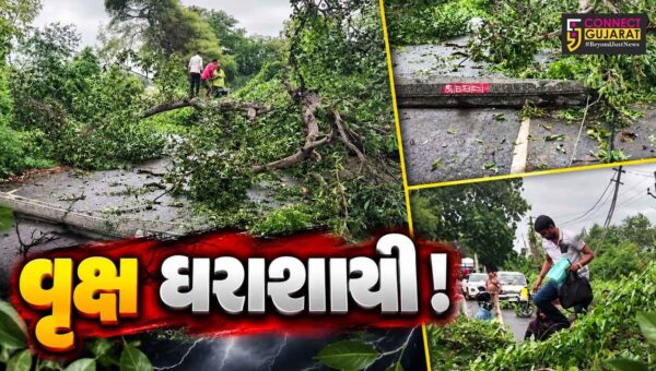ભરૂચ: હાંસોટના સાહોલ ઇલાવ રોડ પર વૃક્ષ ધરાશાયી, વીજ પોલને નુકસાન-માર્ગ બંધ