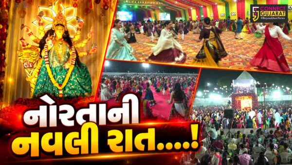 અંકલેશ્વર: નવરાત્રીના અંતિમ દિવસે ગરબા ગ્રાઉન્ડ પર ખેલૈયાઓ મન મૂકીને ઝૂમ્યા, વહેલી સવાર સુધી ગરબાની રમઝટ