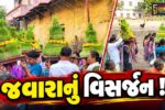 અંકલેશ્વર: દશેરાના પર્વની ઉજવણી, વિવિધ સમાજ દ્વારા પાવન સલીલા માં નર્મદામાં જવારાઓનું વિસર્જન