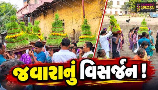 અંકલેશ્વર: દશેરાના પર્વની ઉજવણી, વિવિધ સમાજ દ્વારા પાવન સલીલા માં નર્મદામાં જવારાઓનું વિસર્જન