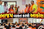 ભરૂચ: ભાજપ દ્વારા 27 ઓકોટોબરે આક્રોશ પદયાત્રા યોજાશે, આયોજન સંદર્ભે બેઠક યોજાઇ
