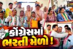 ભરૂચ: શહેરના વિવિધ વોર્ડના 7 જેટલા આગેવાનો કોંગ્રેસમાં જોડાયા, ખેસ પહેરાવી પક્ષમાં અપાયો આવકાર
