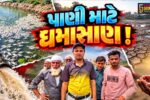 ભરૂચ: આમોદના મછાસરામાં તળાવના પાણી મુદ્દે ઘમાસાણ, તળાવનું પાણી ખેંચાતાં સેંકડો માછલીઓનાં મોત થયાનો દાવો