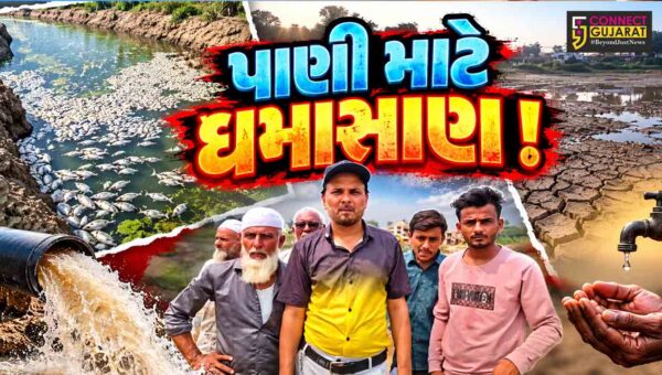 ભરૂચ: આમોદના મછાસરામાં તળાવના પાણી મુદ્દે ઘમાસાણ, તળાવનું પાણી ખેંચાતાં સેંકડો માછલીઓનાં મોત થયાનો દાવો