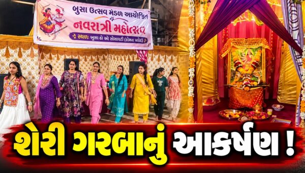ભરૂચ: બુસા સોસાયટીના શેરી ગરબામાં ભક્તિ સાથે સામાજિક એકતાનો અનોખો સંગમ, ખેલૈયાઓ ઉત્સાહભેર લે છે ભાગ