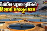 અંકલેશ્વર : ઓસીનોગ્રાફિક્સ સર્વેમાં સકારાત્મક ખુલાસો, હાંસોટના કંટીયાજાળ સમુદ્રમાં ટ્રીટેડ એફ્લુઅન્ટ ડિસ્ચાર્જ સાઇટ પર ડોલ્ફિન જોવા મળતા આશ્ચર્ય