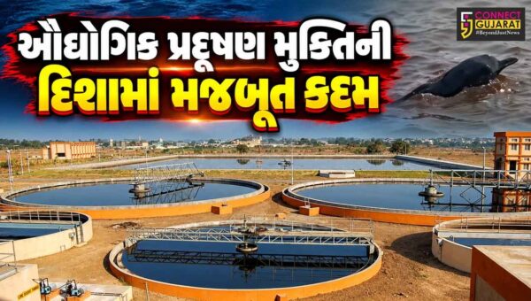 અંકલેશ્વર : ઓસીનોગ્રાફિક્સ સર્વેમાં સકારાત્મક ખુલાસો, હાંસોટના કંટીયાજાળ સમુદ્રમાં ટ્રીટેડ એફ્લુઅન્ટ ડિસ્ચાર્જ સાઇટ પર ડોલ્ફિન જોવા મળતા આશ્ચર્ય