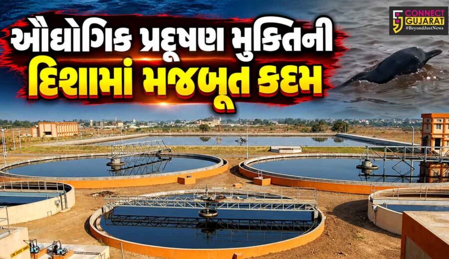 અંકલેશ્વર : ઓસીનોગ્રાફિક્સ સર્વેમાં સકારાત્મક ખુલાસો, હાંસોટના કંટીયાજાળ સમુદ્રમાં ટ્રીટેડ એફ્લુઅન્ટ ડિસ્ચાર્જ સાઇટ પર ડોલ્ફિન જોવા મળતા આશ્ચર્ય