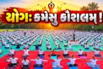 ભરૂચ: સેવા સંકલ્પ અભિયાન અંતર્ગત GNFC  યોગ અને ધ્યાન શિબિર યોજાઈ, મોટી સંખ્યામાં યોગવીરોએ લીધો ભાગ