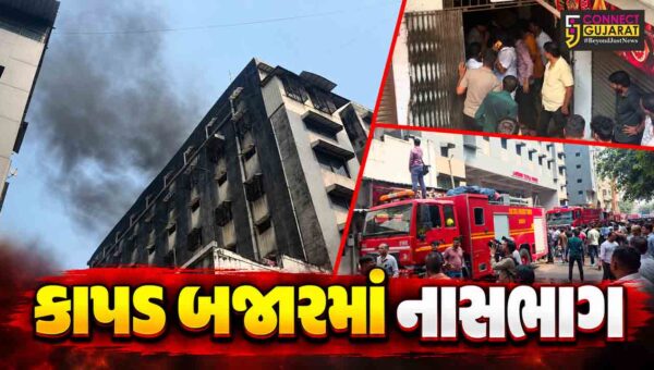 સુરત : સલાબતપુરાની આદિનાથ ટેક્સટાઈલ માર્કેટમાં ત્રીજા માળે ભીષણ આગ, ધુમાડાના ગોટેગોટાથી ગભરાટ