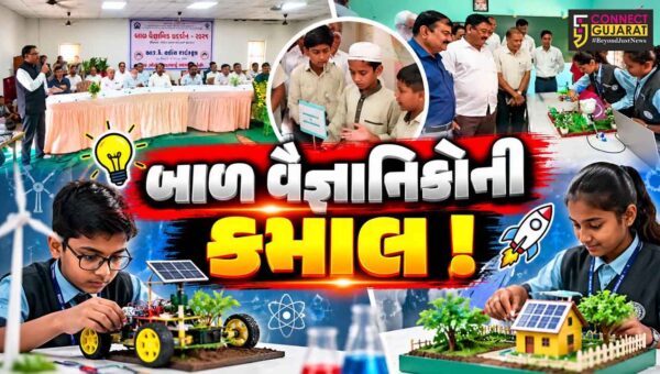 ભરૂચ: હાંસોટના ઇલાવની આર.કે.વકીલ હાઈસ્કૂલમાં બાળ વૈજ્ઞાનિક પ્રદર્શન યોજાયું, 3 તાલુકાની 56 શાળાના વિદ્યાર્થીઓએ 82 કૃતિ રજૂ કરી