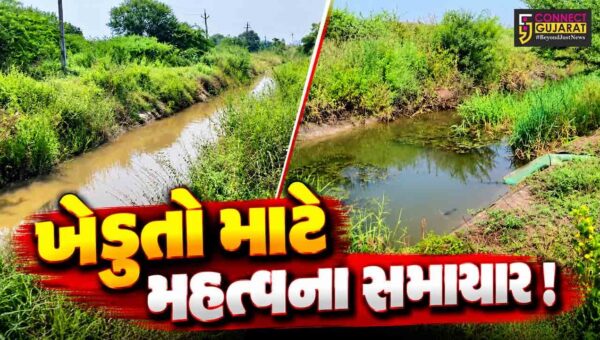 અંકલેશ્વર: ઉકાઈ કેનાલમાં 16 નવેમ્બરથી 13 ફેબ્રુઆરી સુધી સિંચાઈ માટેનું પાણી બંધ રહેશે, નહેરોના આધુનિકીકરણના કારણે લેવાયો નિર્ણય