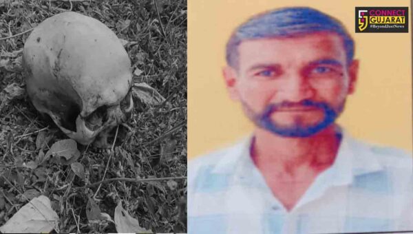 ભરૂચ : ઝઘડિયાના જીતપરા નજીક જંગલમાંથી માનવ કંકાલ મળી આવતાં ચકચાર