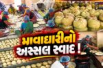 ભરૂચ:ફાંટા તળાવ રાણા પંચ દ્વારા 47 વર્ષોથી બનાવાય છે માવાઘારી, 60 સ્વયંસેવકો જોડાય છે કામગીરીમાં