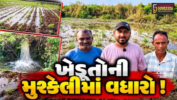 ભરૂચ: જંબુસરના વાવલી ગામે નર્મદા નિગમની નહેરમાં ગાબડું, આસપાસના ખેતરો બેટમાં ફેરવાયા