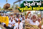 ભરૂચ-નર્મદા જિલ્લાના ખેડૂતોમાં ખુશીનો માહોલ, નર્મદા સુગર ધારીખેડા ફેક્ટરીમાં નવી સિઝનના શેરડી પિલાણનો વિધિવત પ્રારંભ...