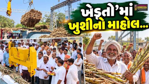 ભરૂચ-નર્મદા જિલ્લાના ખેડૂતોમાં ખુશીનો માહોલ, નર્મદા સુગર ધારીખેડા ફેક્ટરીમાં નવી સિઝનના શેરડી પિલાણનો વિધિવત પ્રારંભ…