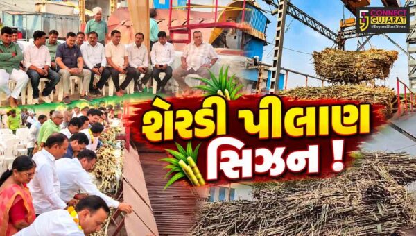 ભરૂચ: હાંસોટની પંડવાઈ સુગર ફેકટરીમાં શેરડી પીલાણ સિઝનનો પ્રારંભ, 6 લાખ મેટ્રીક ટન શેરડી પિલાણનો લક્ષયાંક