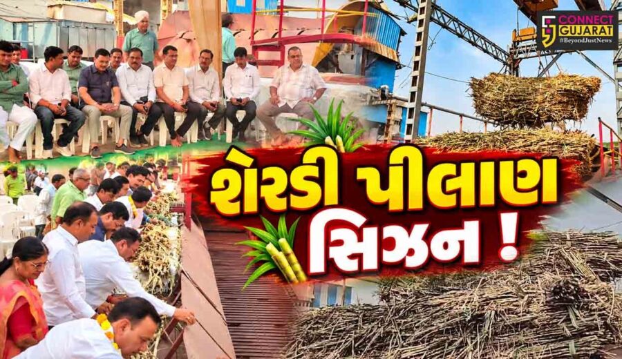 ભરૂચ: હાંસોટની પંડવાઈ સુગર ફેકટરીમાં શેરડી પીલાણ સિઝનનો પ્રારંભ, 6 લાખ મેટ્રીક ટન શેરડી પિલાણનો લક્ષયાંક