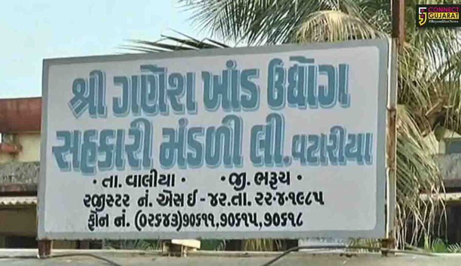 ભરૂચ: વાલિયાના વટારીયાની શ્રી ગણેશ સુગર ફેક્ટરીમાં શેરડી પીલાણ સિઝનનો પ્રારંભ કરાયો