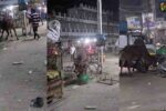 ભરૂચ: આમોદમાં રખડતી ગાયના ગળામાં ફસાઈ સાયકલ અને શાકભાજી-ફ્રૂટની કેરેટ ,વિડીયો થયો વાયરલ