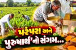 સુરેન્દ્રનગર : 70 વર્ષીય ખેડૂતે ગૌમૂત્ર અને જીવામૃતના સહારે હળદરની પ્રાકૃતિક ખેતી કરી બમણી આવક મેળવી…