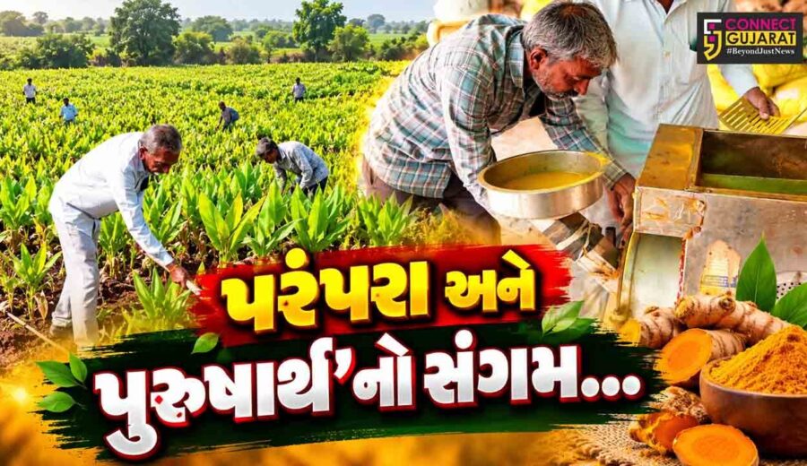સુરેન્દ્રનગર : 70 વર્ષીય ખેડૂતે ગૌમૂત્ર અને જીવામૃતના સહારે હળદરની પ્રાકૃતિક ખેતી કરી બમણી આવક મેળવી...