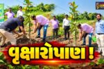 અંકલેશ્વર: GIDCની સ્થાપનાના 50 વર્ષની ઉજવણી અંતર્ગત 150 વૃક્ષોનું વાવેતર,ભવિષ્યમાં સ્મશાન ભુમીનું કરાશે નિર્માણ