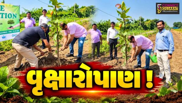 અંકલેશ્વર: GIDCની સ્થાપનાના 50 વર્ષની ઉજવણી અંતર્ગત 150 વૃક્ષોનું વાવેતર,ભવિષ્યમાં સ્મશાન ભુમીનું કરાશે નિર્માણ