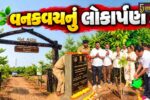 અંકલેશ્વર: બોરભાઠા બેટ ખાતે ‘વન કવચ’નું લોકાર્પણ,મંત્રી ઇશ્વરસિંહ પટેલ રહ્યા ઉપસ્થિત