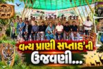 ભરૂચ: વન્ય પ્રાણી સપ્તાહની ઉજવણી અંતર્ગત વાઈલ્ડ લાઈફ ફોટોગ્રાફી પ્રદર્શનનો પ્રારંભ